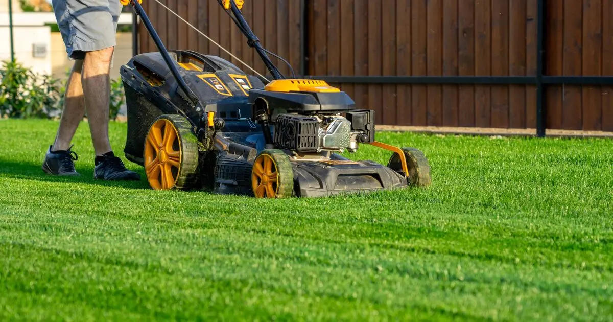 دروگر — Mower