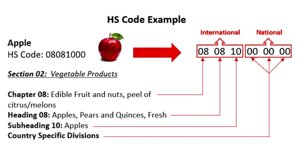 HS Code چیست و چرا در واردات و صادرات اهمیت دارد؛ پاسخ به پرسش‌های مهم