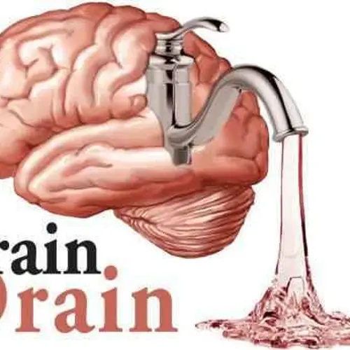 مهاجرت نخبگان چه هزینه‌ای برای اقتصاد کشور ایجاد می‌کند؛ راهنمای کامل و کاربردی
