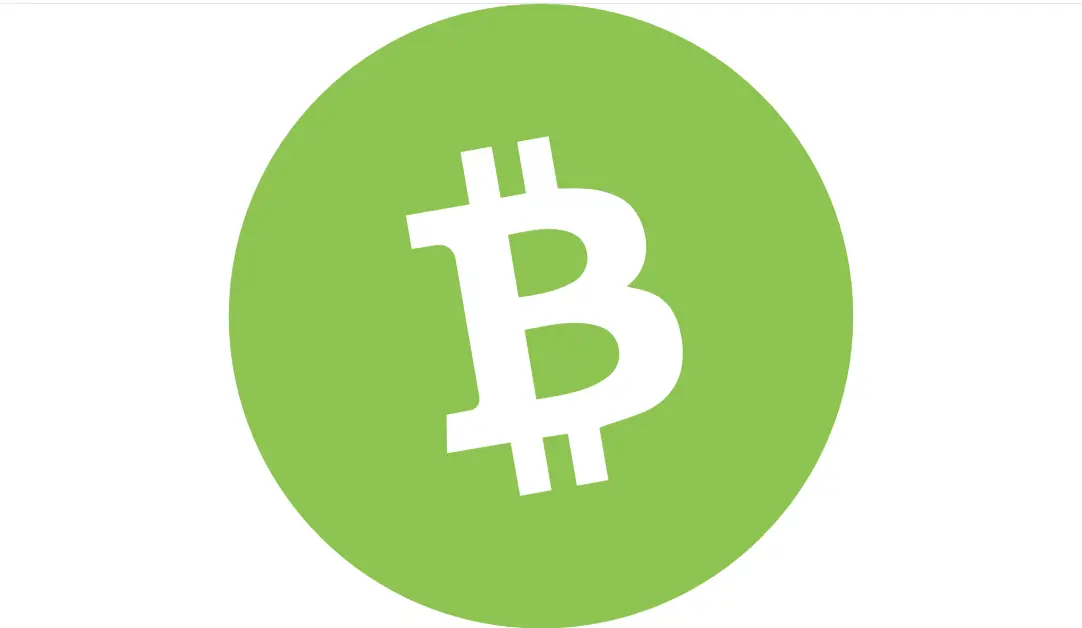 Bitcoin Cash چیست و چرا از بیت‌کوین جدا شد؛ قبل از اقدام این موارد را بدانید