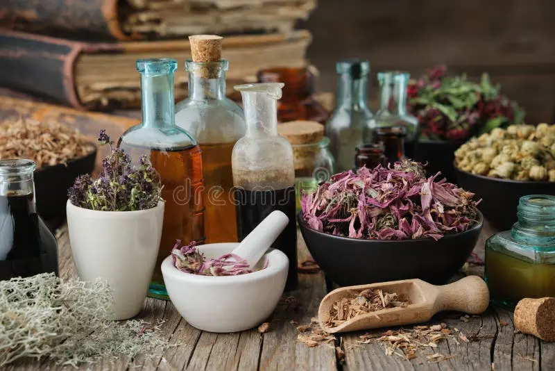 داروهای گیاهی چه زمانی نیاز به احتیاط بیشتری دارند؛ پاسخ به پرسش‌های مهم