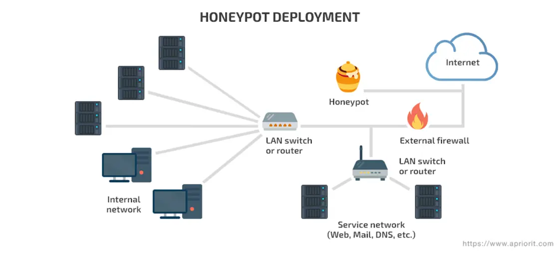Honeypot در ارز دیجیتال چیست و چگونه سرمایه کاربران را گرفتار می‌کند؛ بررسی نکات و جزئیات مهم