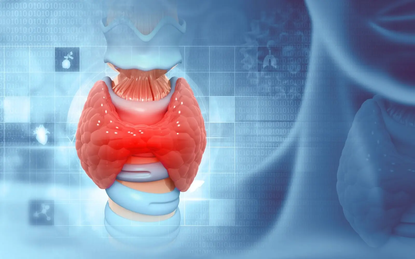 پرکاری تیروئید چیست و چه علائمی دارد؛ بررسی نکات و جزئیات مهم