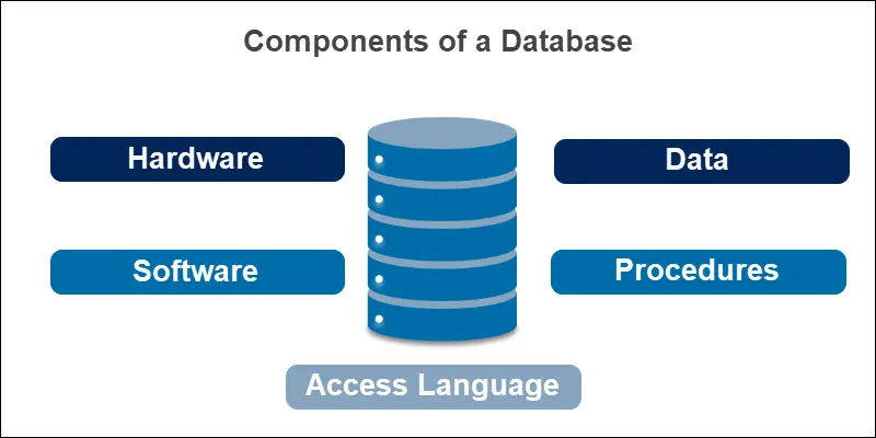 SQL چیست و چگونه با پایگاه داده کار می‌کند؛ پاسخ به پرسش‌های مهم
