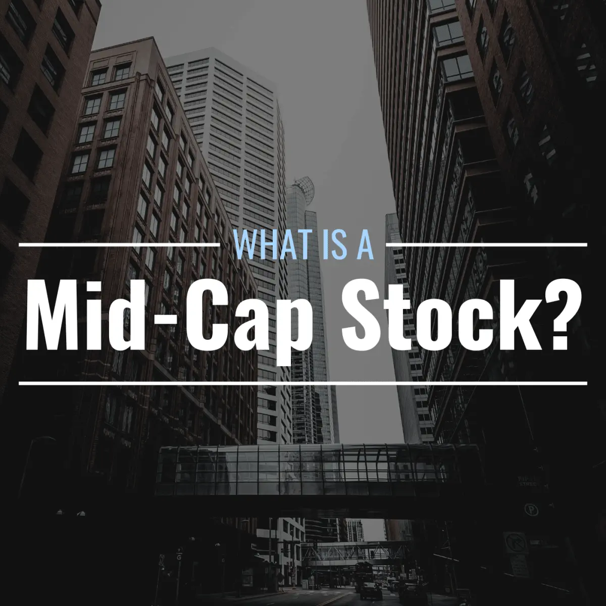 ارزهای Mid Cap چیستند و چه ویژگی‌هایی دارند؛ یک راهنمای کامل برای تصمیم بهتر
