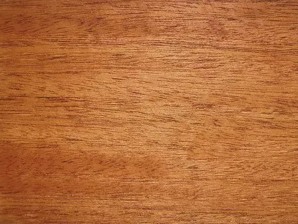 چوب اشباع چیست و چه مزیتی برای محوطه و نمای ساختمان دارد؛ راهنمای کامل و کاربردی